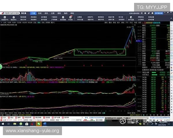 皇冠PA视讯如何选择最优的投注策略实现稳定盈利的实用指南 皇冠PA视讯如何选择最优的投注策略实现稳定盈利的实用指南